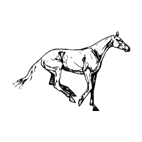 blogika3.gif